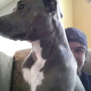 Meet your Posher, Bryan